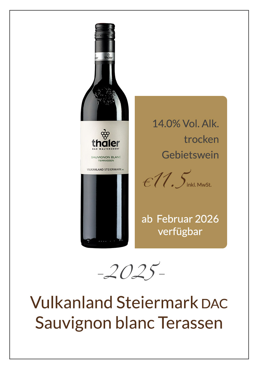 25-12_Link_SB_Terassen_21_gold